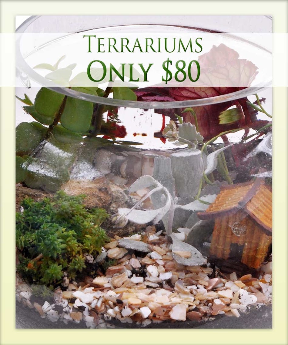 Detroit Area Florist Mancuso's Florist St. Clair Shores, Michigan