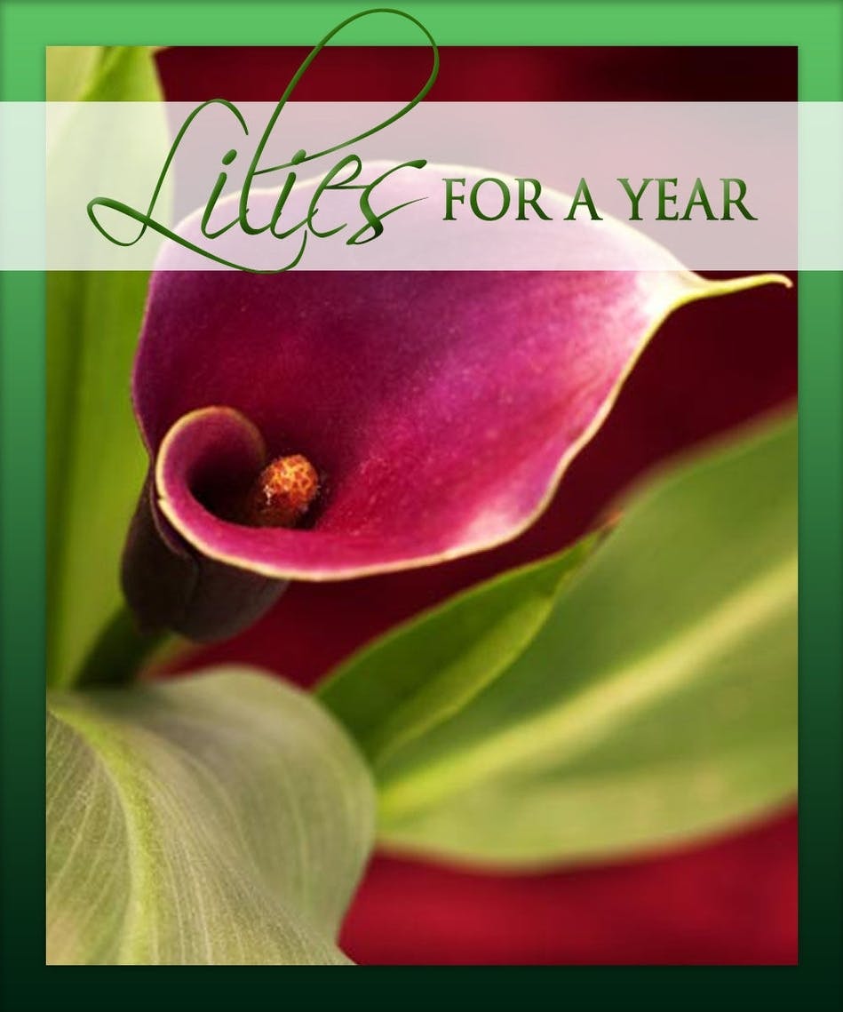 Lilies for a Year Choose from 3, 6, or 12 months Mancuso's Florist