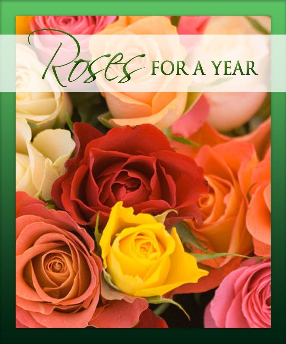 Roses for a Year Choose from 3, 6, or 12 months Mancuso's Florist