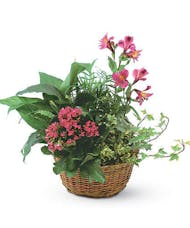 Garden Basket with Fresh Flowers Added