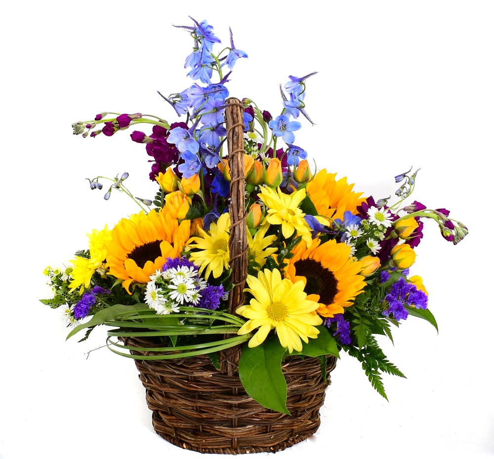 Summer Flowers Mancuso's Florist St Clair Shores