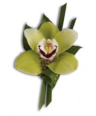 Green Orchid Boutonniere
