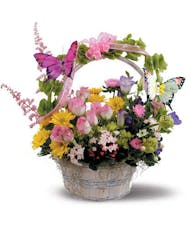 Beautiful Butterfly Basket