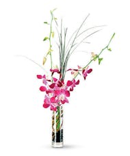 Blooming Orchid Bud Vase