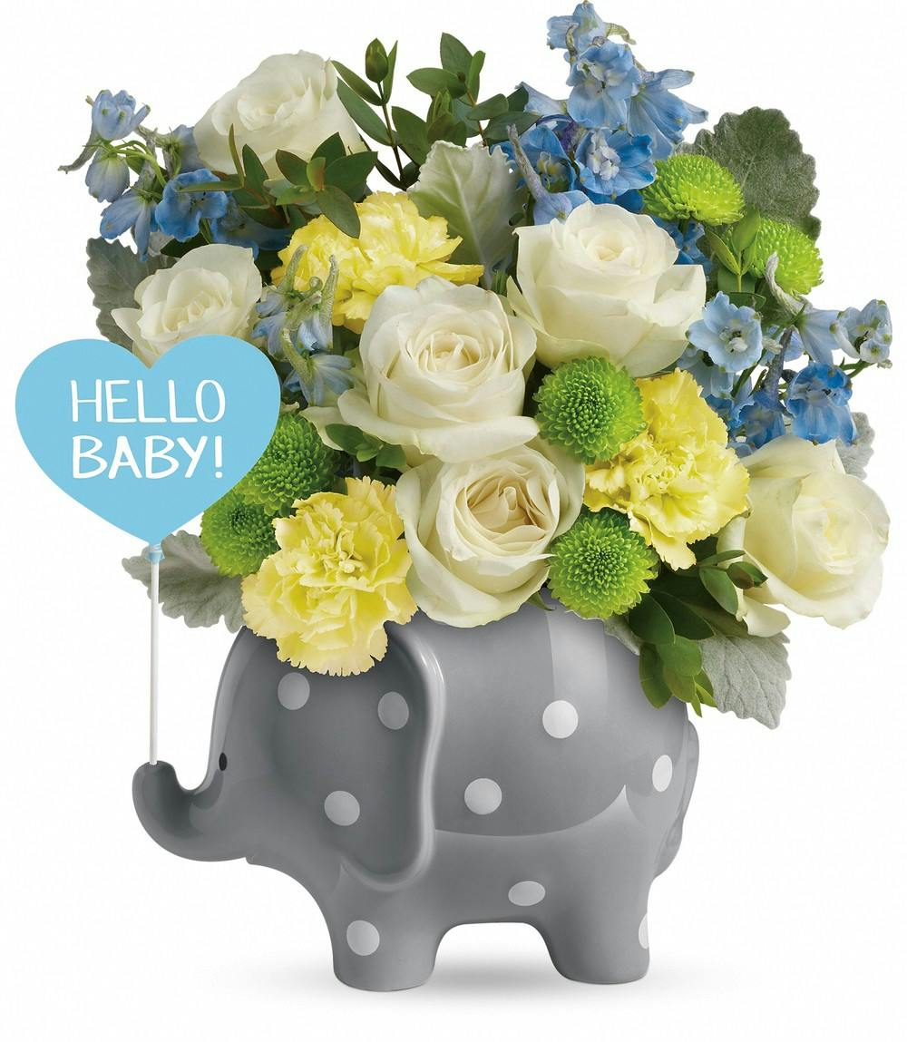 Baby Flowers Gift Delivery St. Clair Shores MI Sameday Delivery