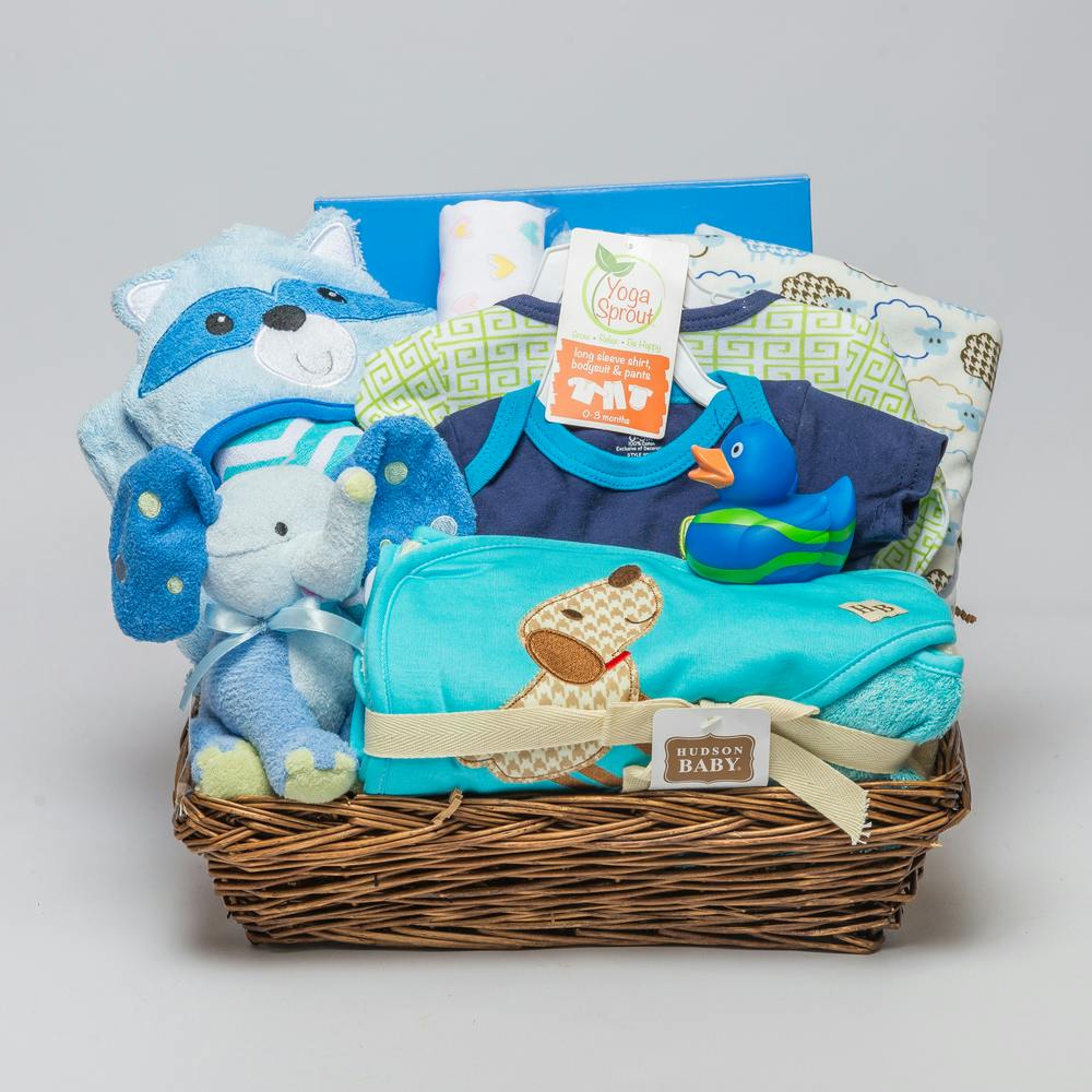 Joyous Arrival Detroit (MI) New Baby Gift Delivery Mancuso's Florist