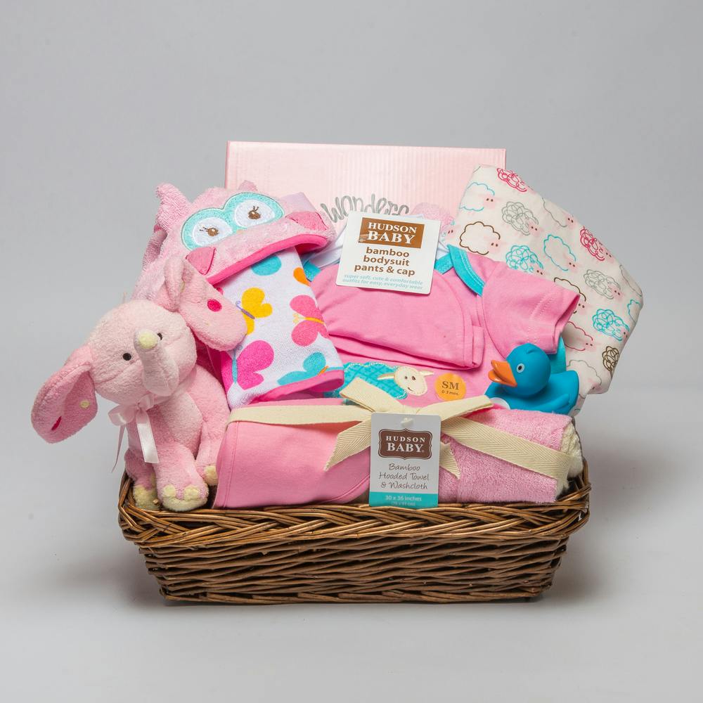 Joyous Arrival Detroit (MI) New Baby Gift Delivery Mancuso's Florist