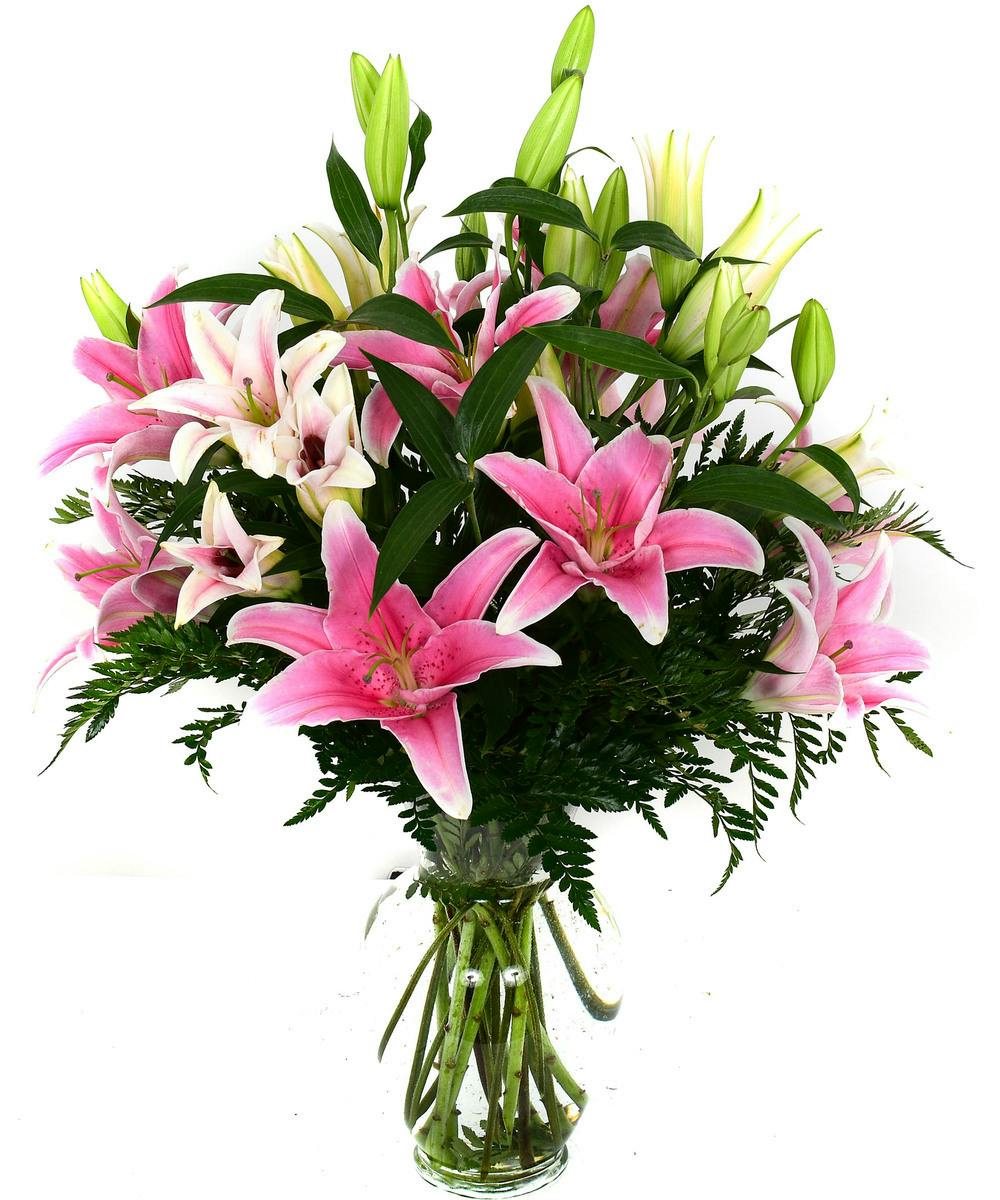 Enchanting Stargazer Lilies St. Clair Shores (MI) Flower Delivery