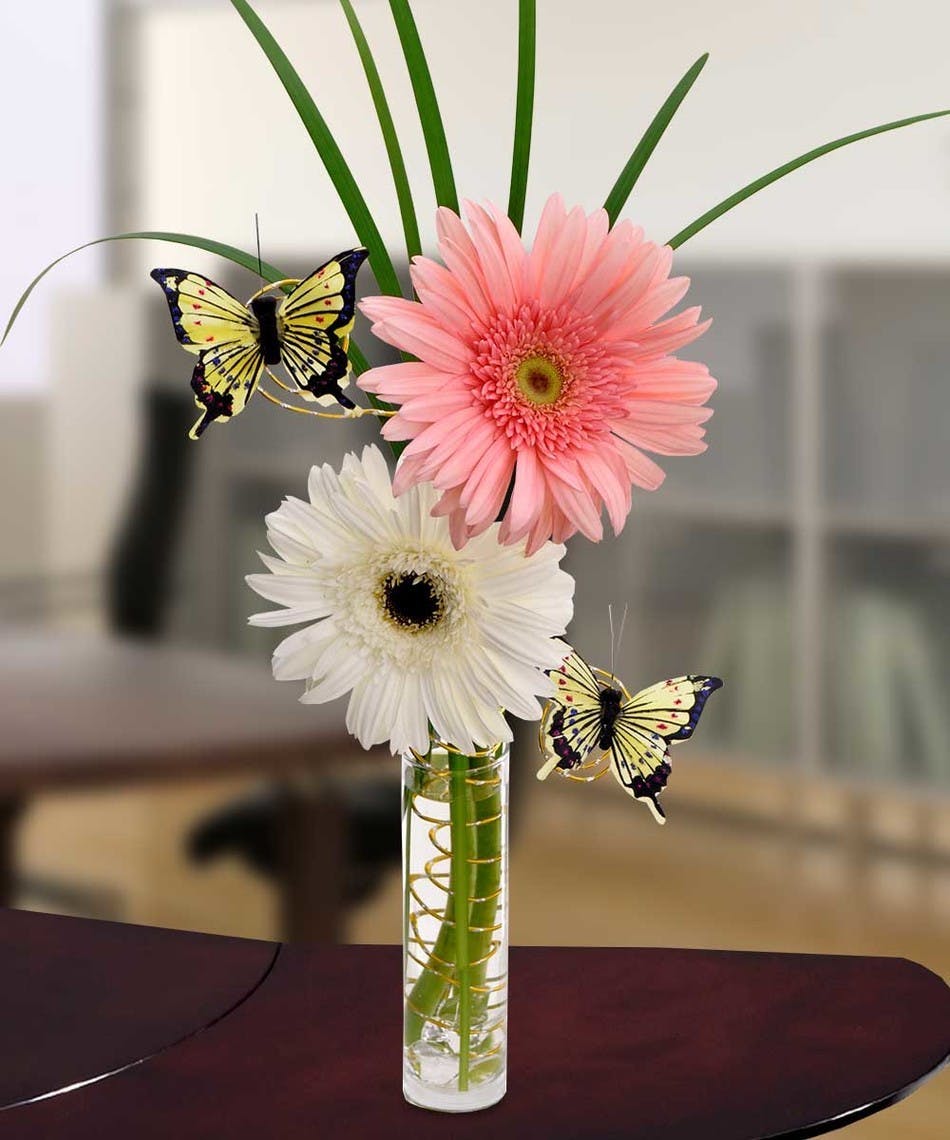 Best Value Daisies St. Clair Shores (MI) Flower Delivery Mancuso's