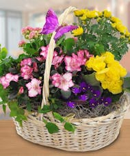 Blooming Garden Baskets