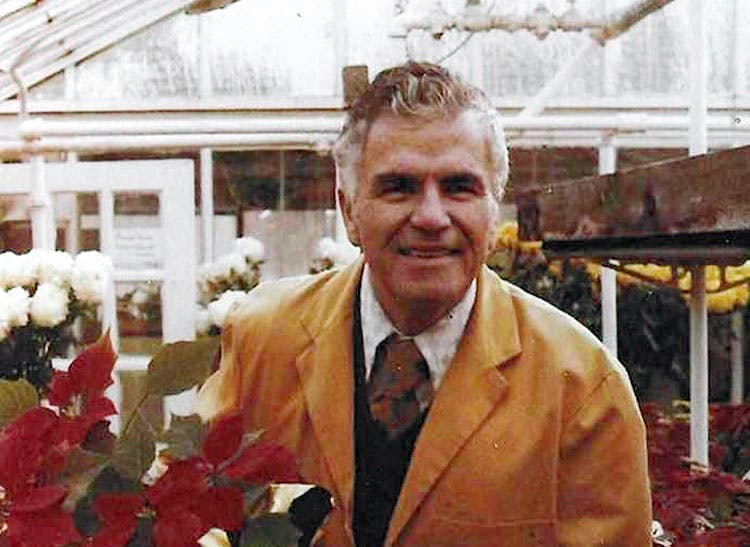Frank Senior holds a pot of poinsettias in the greenhouse, circa 1970